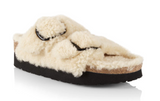 Arizona Teddy Big Buckle (2 colors)
