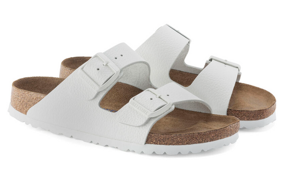 Arizona SFB LTR