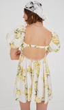 Serafina Mini Dress